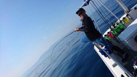 ARCADIAⅡ (アルカディアⅡ) 釣果