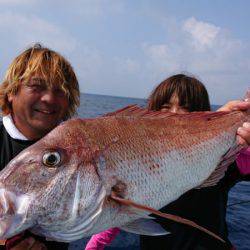 だて丸 釣果