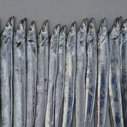 遊漁船　家入 釣果