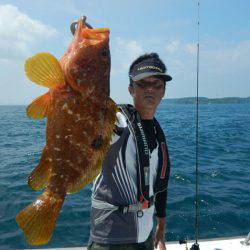 きずなまりん 釣果
