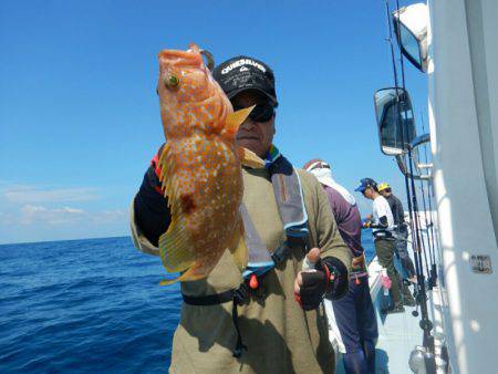 きずなまりん 釣果