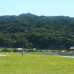 ブルドック 釣果