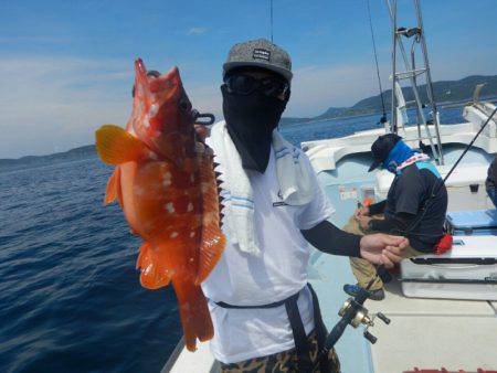 きずなまりん 釣果