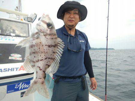 きずなまりん 釣果