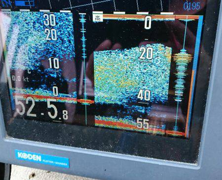 ブルースフィッシングサービス 釣果