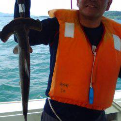 海季丸（みきまる） 釣果