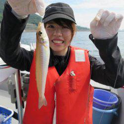 Chase（チェイス） 釣果