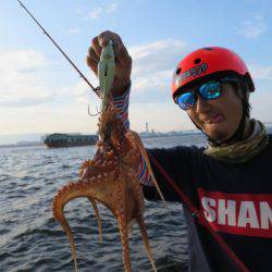 Chase(チェイス) 釣果