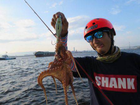 Chase(チェイス) 釣果