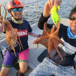 Chase(チェイス) 釣果