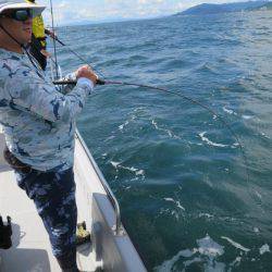 Chase（チェイス） 釣果