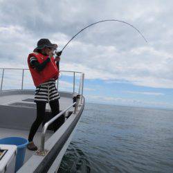 Chase(チェイス) 釣果