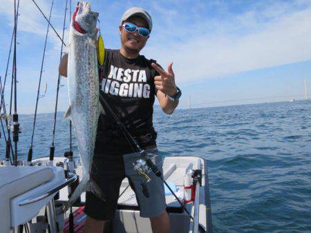 Chase（チェイス） 釣果