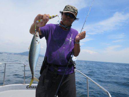Chase(チェイス) 釣果