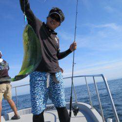 Chase（チェイス） 釣果