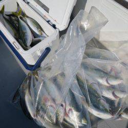 Chase（チェイス） 釣果