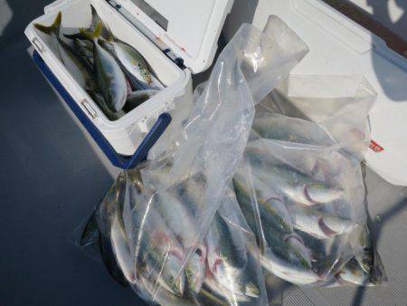 Chase（チェイス） 釣果