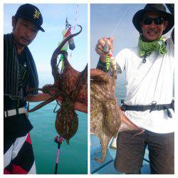 シースナイパー海龍 釣果