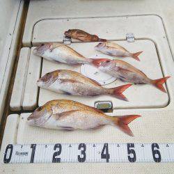 マリンガイド福丸 釣果