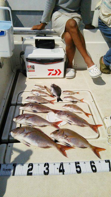 マリンガイド福丸 釣果