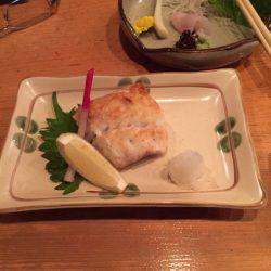 JDI Racing シールズマリンレジャー 釣果