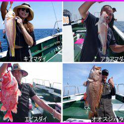 Big One　ビッグワン 釣果