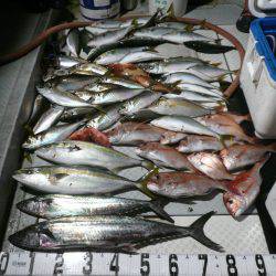 オーシャンスター(Ocean Star) 釣果