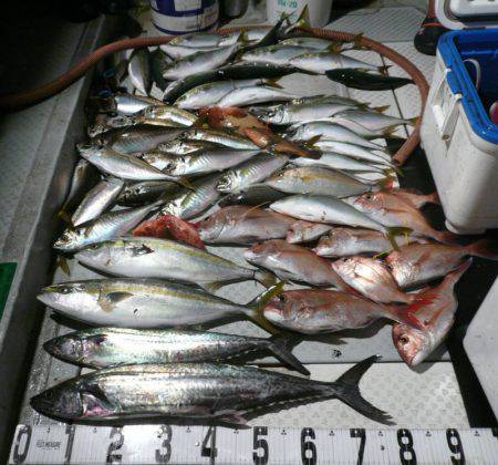 オーシャンスター(Ocean Star) …