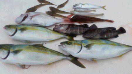 ＪＤＩ　Ｒａｃｉｎｇ　シールズマリンレジャ…