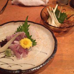 JDI Racing シールズマリンレジャー 釣果