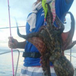 シースナイパー海龍 釣果