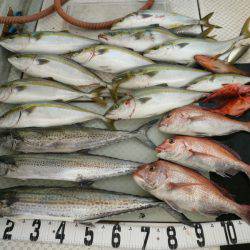 オーシャンスター(Ocean Star) 釣果