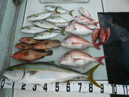 オーシャンスター(Ocean Star) …