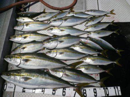 オーシャンスター(Ocean Star) …