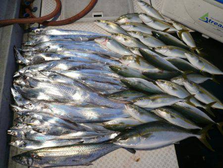 オーシャンスター(Ocean Star) …