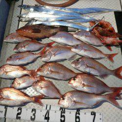 オーシャンスター(Ocean Star) 釣果