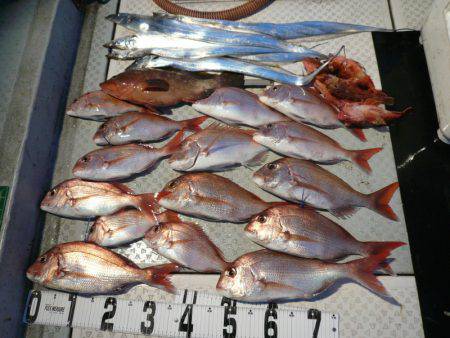 オーシャンスター(Ocean Star) …