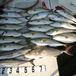 オーシャンスター(Ocean Star) 釣果