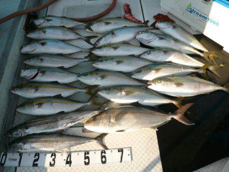 オーシャンスター(Ocean Star) …