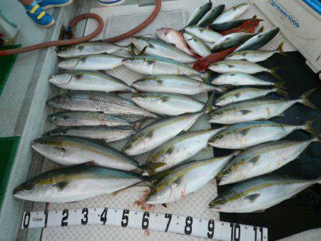 オーシャンスター(Ocean Star) …