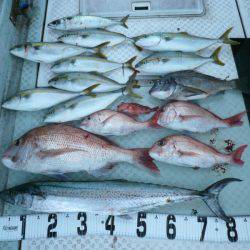 オーシャンスター(Ocean Star) 釣果