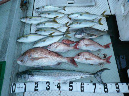 オーシャンスター(Ocean Star) …