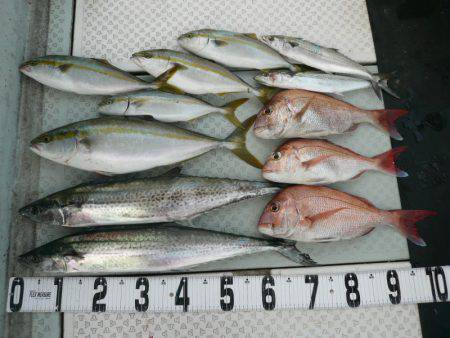 オーシャンスター(Ocean Star) …