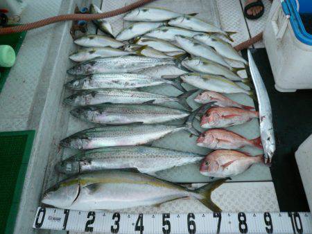 オーシャンスター(Ocean Star) …