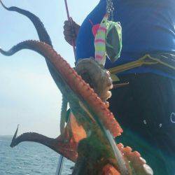 シースナイパー海龍 釣果