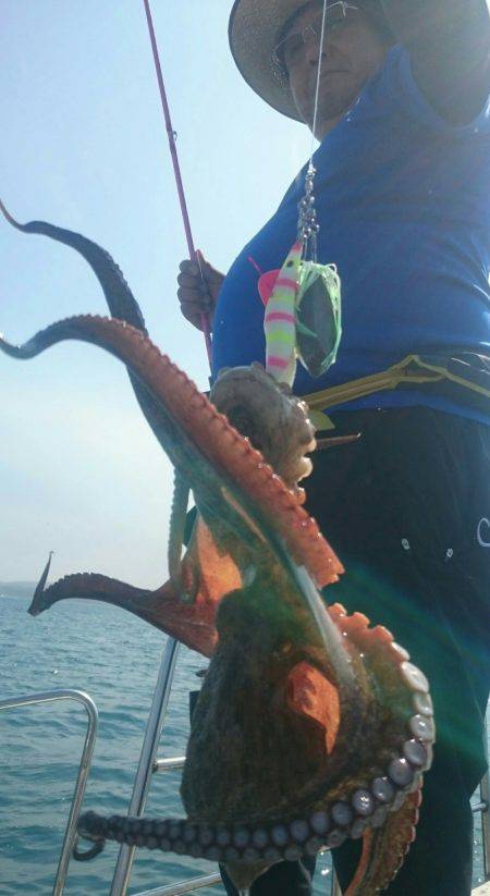 シースナイパー海龍 釣果