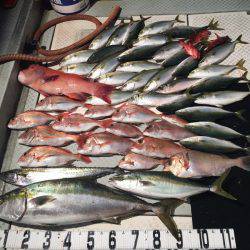 オーシャンスター(Ocean Star) 釣果