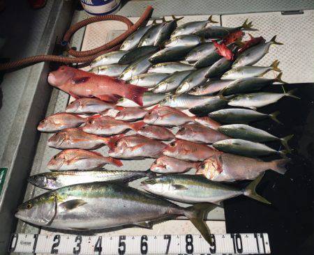 オーシャンスター(Ocean Star) …