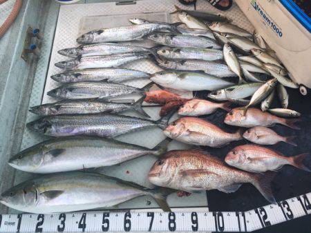 オーシャンスター(Ocean Star) …