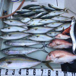 オーシャンスター(Ocean Star) 釣果